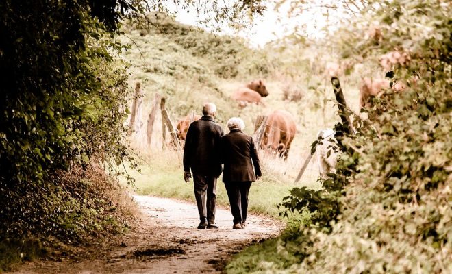 Quel est le montant d'une petite retraite ?