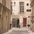 Que faut-il faire en cas d’invasion de chenilles processionnaires à Montpellier ?