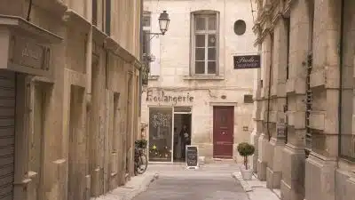 Que faut-il faire en cas d’invasion de chenilles processionnaires à Montpellier ?